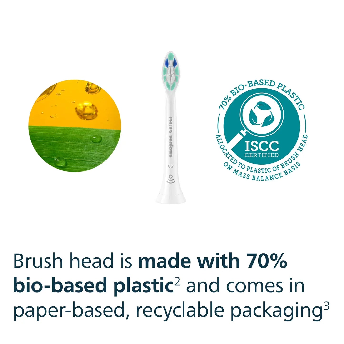 C2-Brush facts