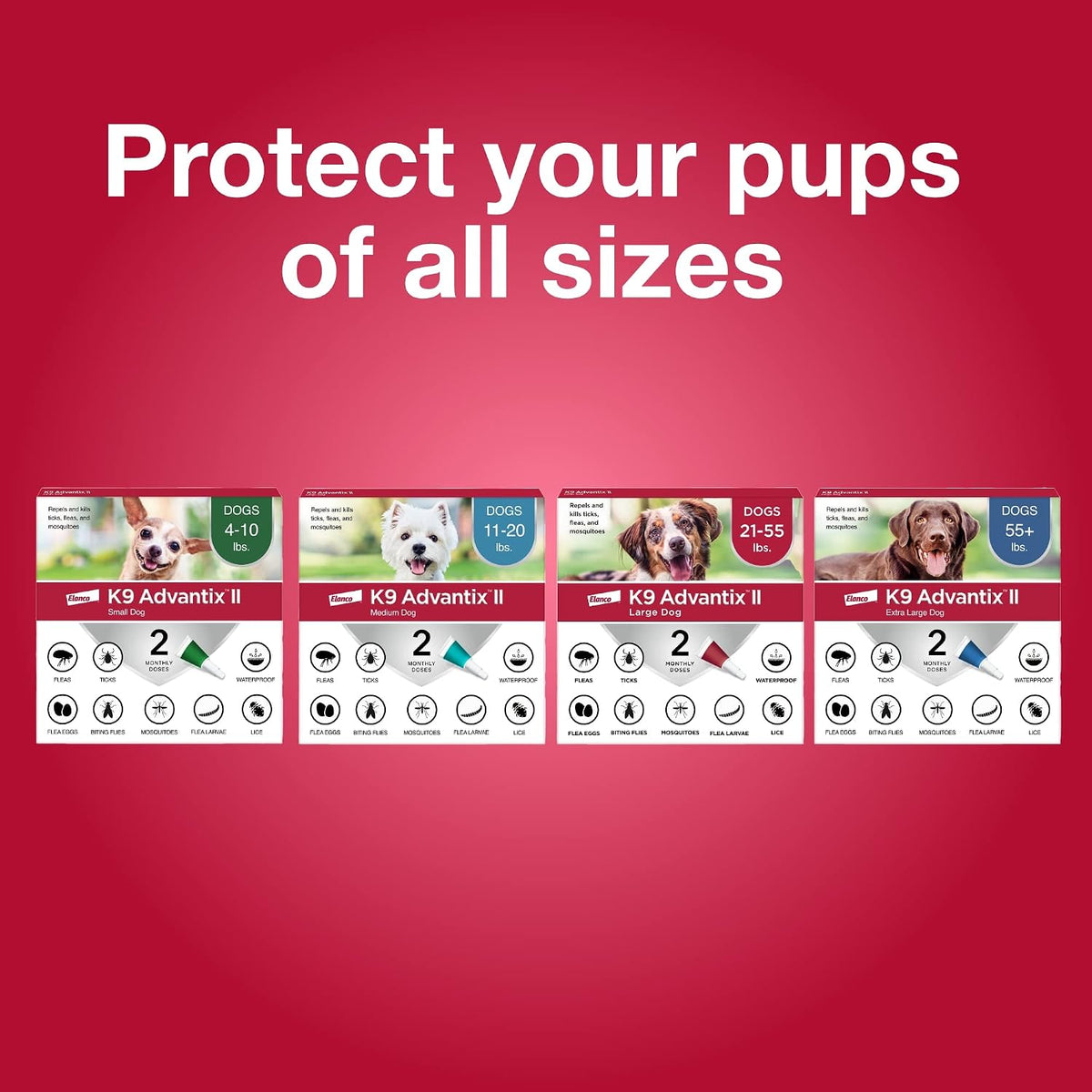 K9 Advantix II Flea & Tick Topical for Large Dogs 21–55 lbs., 6ct