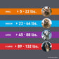 FRONTLINE Plus Flea & Tick Spot Treatment for Medium Breed Dogs 23-44 lbs. (Blue) Count of 3