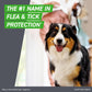 FRONTLINE Plus Flea & Tick Spot Treatment for Medium Breed Dogs 23-44 lbs. (Blue) Count of 3
