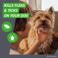 FRONTLINE Plus Flea & Tick Spot Treatment for Medium Breed Dogs 23-44 lbs. (Blue) Count of 3