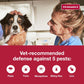 K9 Advantix II Flea & Tick Topical for Large Dogs 21–55 lbs., 6ct