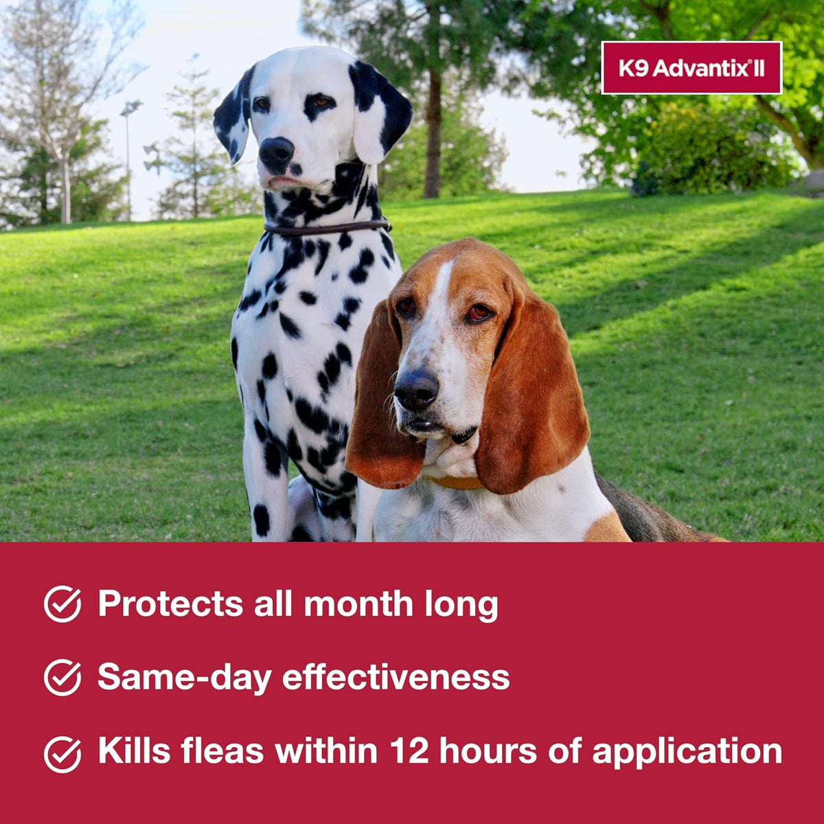 K9 Advantix II Flea & Tick Topical for Large Dogs 21–55 lbs., 6ct