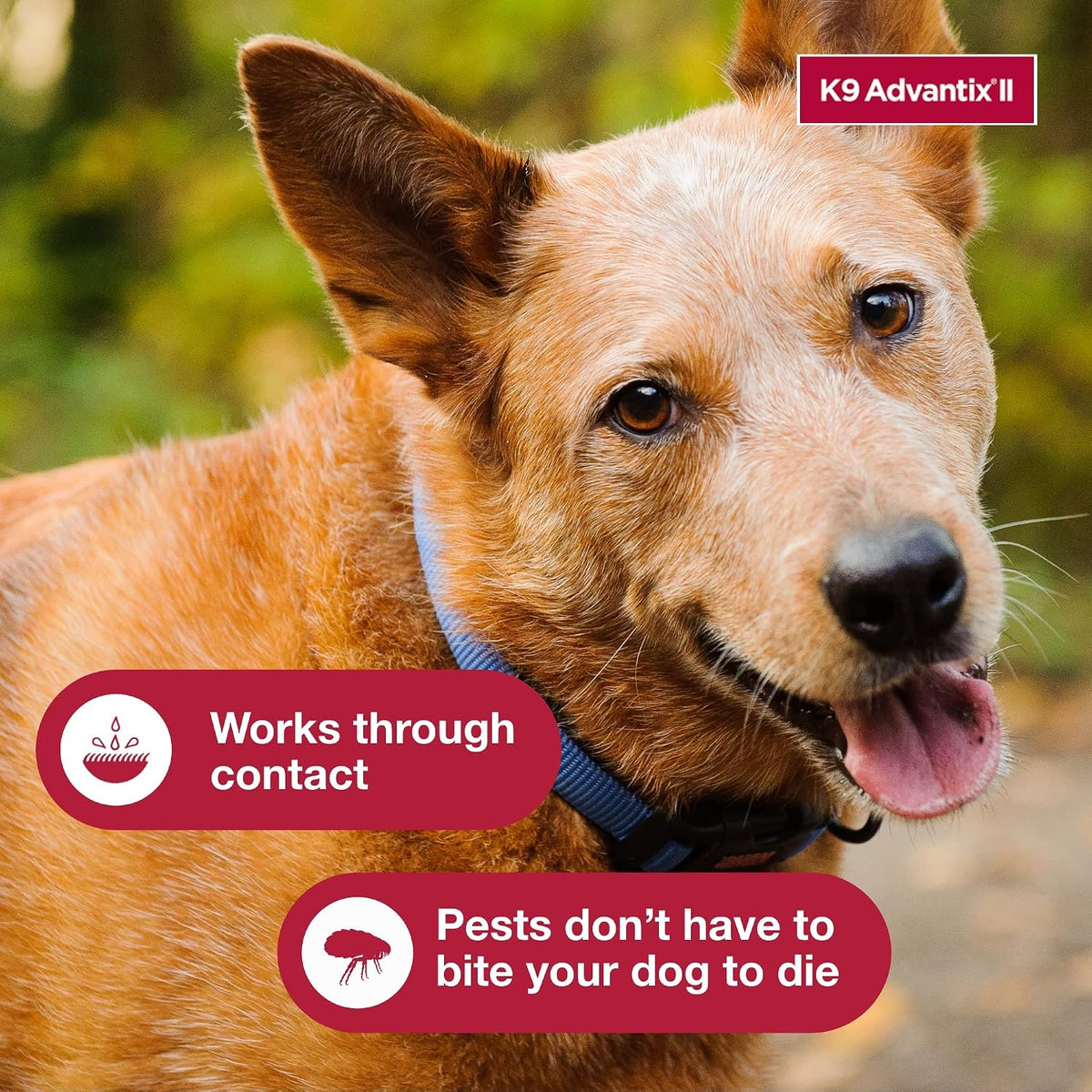 K9 Advantix II Flea & Tick Topical for Large Dogs 21–55 lbs., 6ct