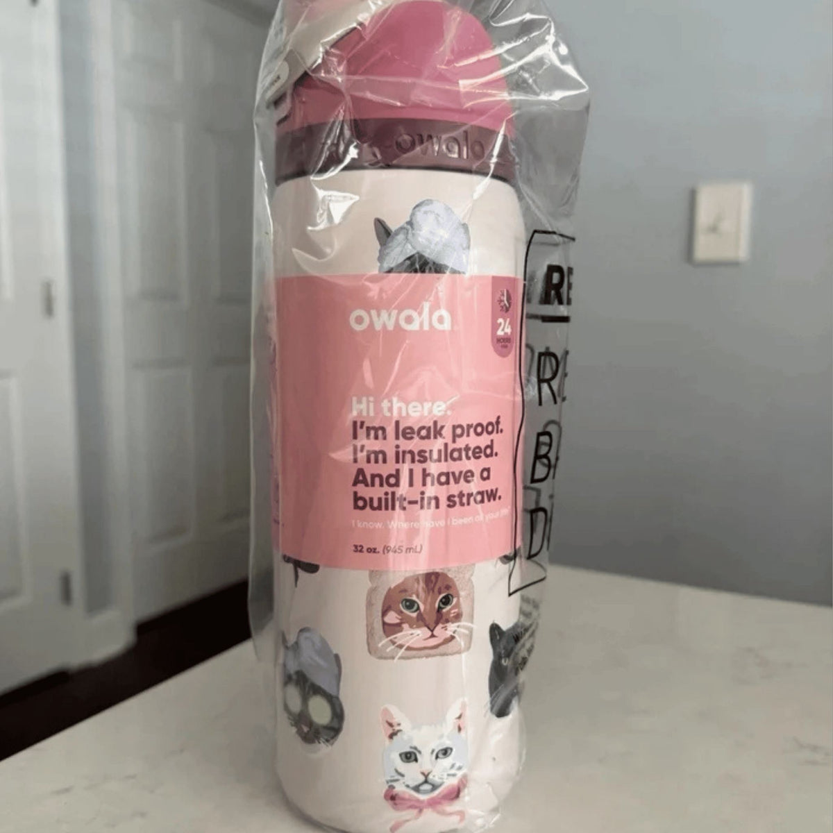 Owala UO Exclusive Cat Collage FreeSip 32 oz Pink Water Bottle Owala