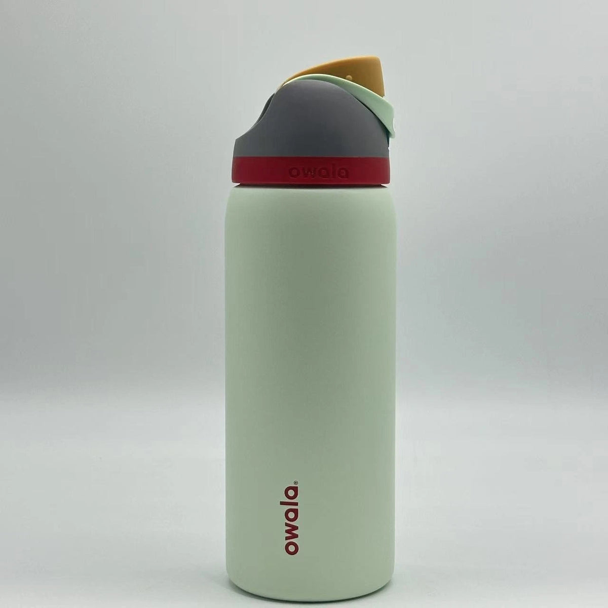 Owala FreeSip 32oz Stainless Steel Water Bottle BoneYard Top Quality